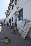 Villa de Leyva, Plaza Mayor