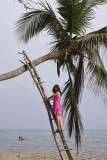 Parque Nacional Santa Marta, Playa Costeño