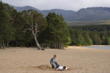 Loch Morlich Beach