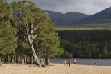 Loch Morlich Beach