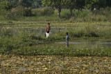 Inwa, on the way to Bagaya Kyaung