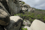 Parque N Tayrona, Trail to Canaveral