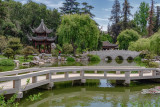 Chinese Garden 6