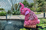 The Jewel Changi 10