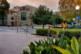 UCLA Store