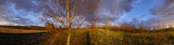 Panoramic