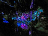 Inside Navi River Journey at Pandora - the World of Avatar