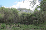 Finca La Belen