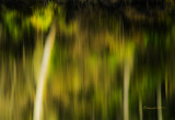 Landscapes at Heron Haven