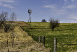 Windmill Pasture
