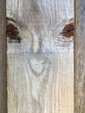 Find a Face