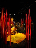 DSCN9332.JPG