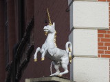 DSCN0432.JPG