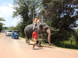 DSCN0942.JPG