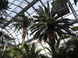 DSCN3640.JPG