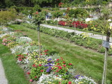 DSCN3648.JPG