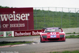 ...FERRARI F40-LM