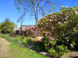 Ushaw College 