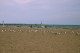 Manistee