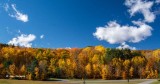 Autumn Splendor