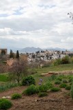 Granada, La Alhambra. The Albaicin in distance - Spain