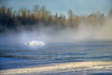 Chippewa River smoke