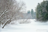 The Chippewa River, winter scene
