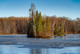 Ice melt & geese