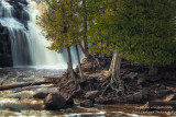 Gooseberry Falls with Cedar trees