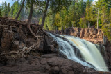 Gooseberry falls with Tree root 2