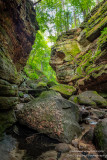 Parfreys Glen, gorge 2