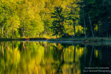 Late Summer reflections