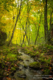 Devil's Creek, Blue Hills, Wisconsin