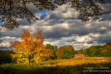 A windy and gorgeous autumn day 2