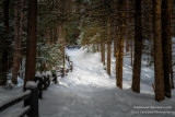 Snow shoe path