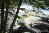 Along the Tyler Fork river