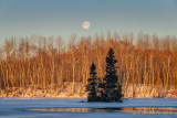Setting full moon at sunrise