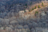 View from Juniper Rock overlook 8