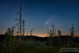 Comet Neowise at a bog, northern Wisconsin