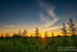 Sunrise at a bog, northern Wisconsin