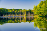 Summer reflections, Perch Lake