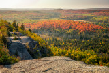 Fall colors in the north country 5