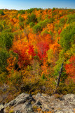 Brilliant fall colors