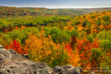 Brilliant fall colors - Juniper Rock 2