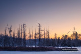 Sliver of moon at dusk