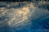 Clear Ice shards, Lake Superior 2