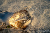 Lake Superior Ice Agates 6