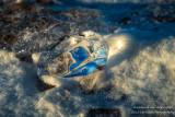 Lake Superior Ice Agates 9