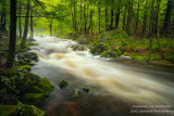 Creek after rainfall 2