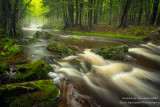 Creek after rainfall 5